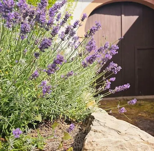 Giertensmuehle Mesenich *